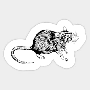 Line drawing - rat Sticker